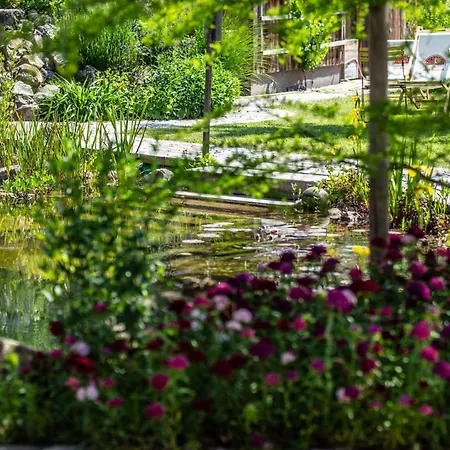 Der Baum Hideaway Inzersdorf im Kremstal