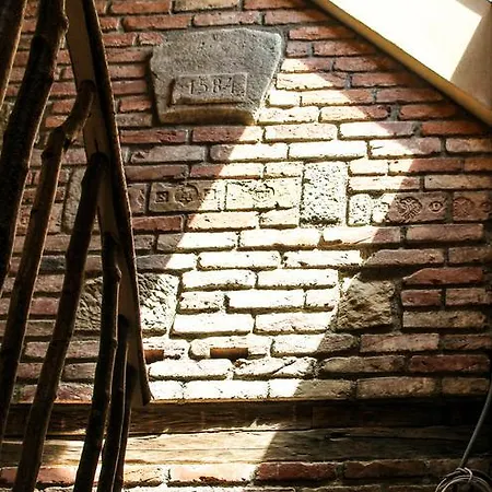 Apartmán Der Baum Hideaway *
