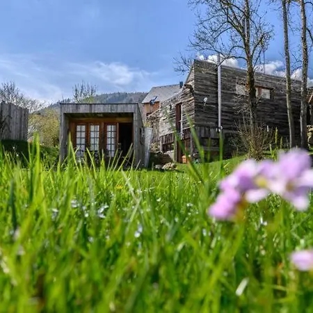 Der Baum Hideaway