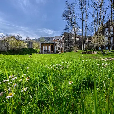Apartment Der Baum Hideaway