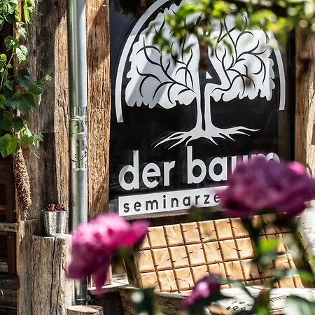 Apartment Der Baum Hideaway *
