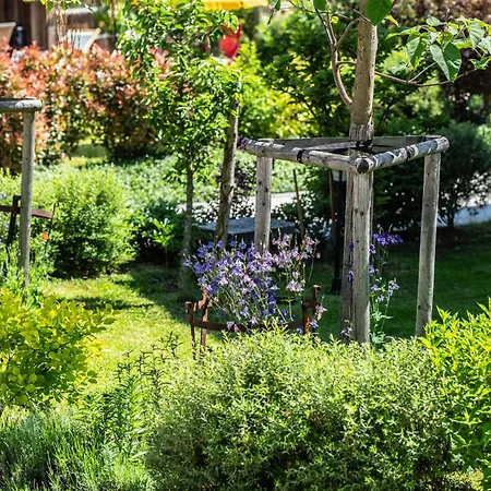 Der Baum Hideaway Apartment *