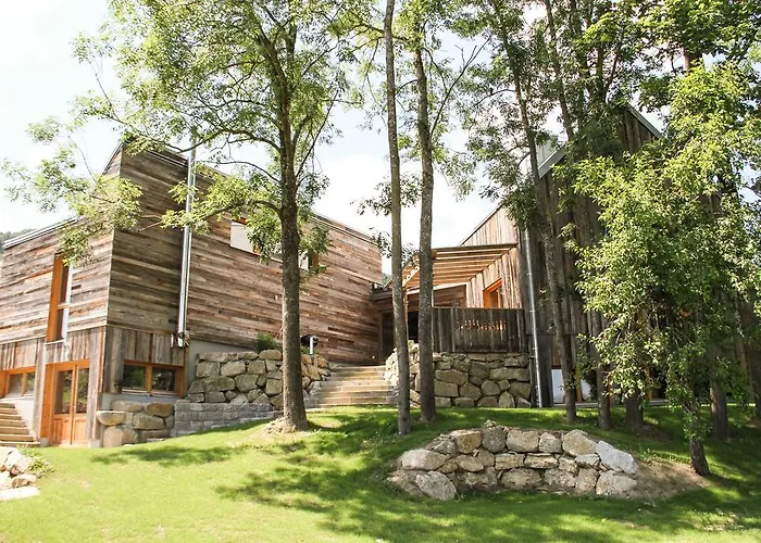 Der Baum Hideaway Inzersdorf im Kremstal